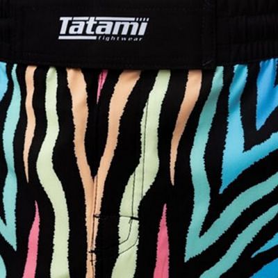 Tatami Recharge Fight Shorts Multicolored