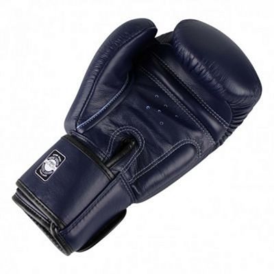 Twins Special BGVL 3 Boxing Gloves Azul