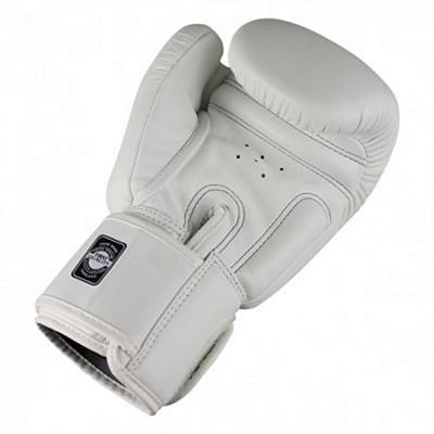 Twins Special BGVL 3 Boxing Gloves Blanco