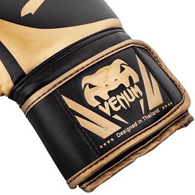 Venum Challenger 2.0 Boxing Gloves Svart-Gold