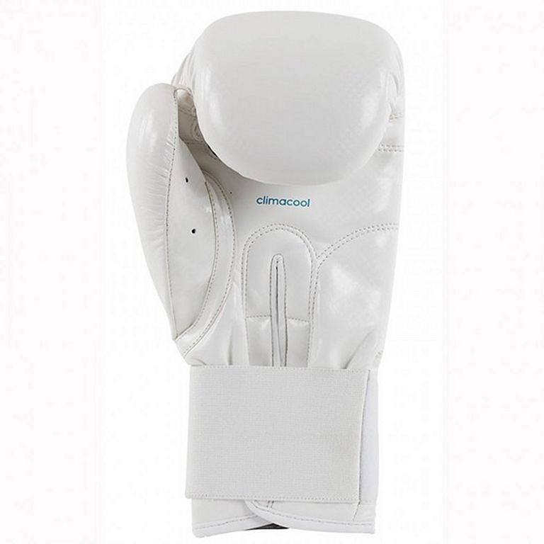 Adidas Female Power 200 Gloves White-Blue