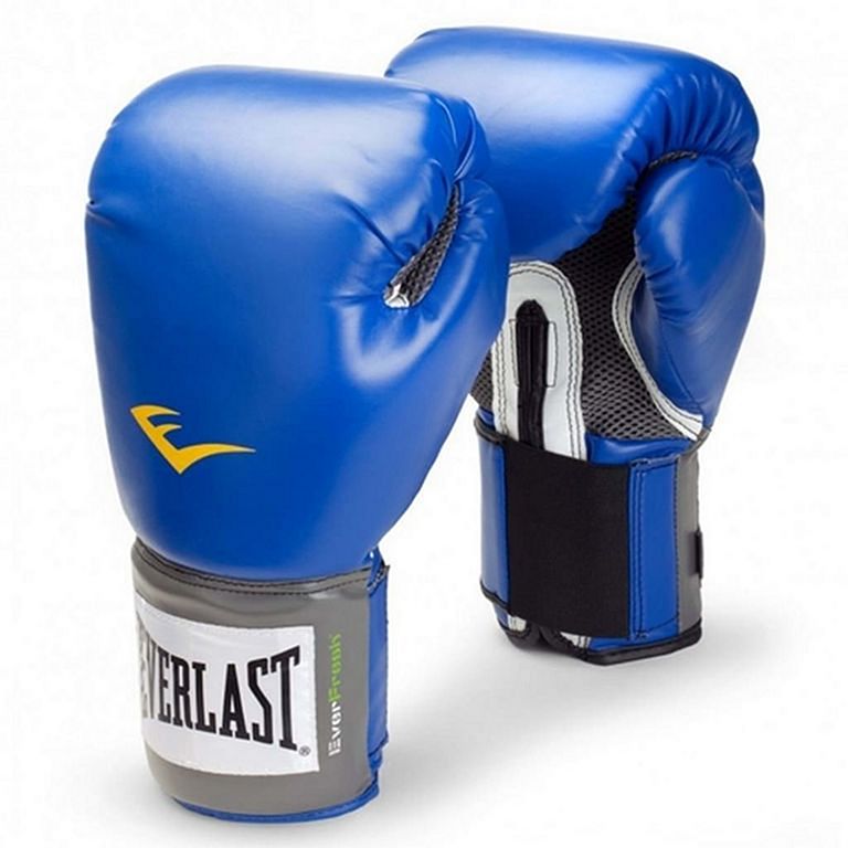 Blau Training Style Pro Everlast Boxhandschuhe
