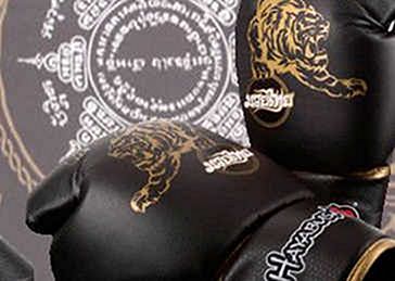 Te presentamos la colección Premium Muay Thai de Hayabusa