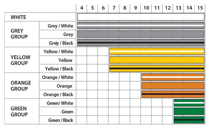 IBJJF Kids Belt Colors and graduation system